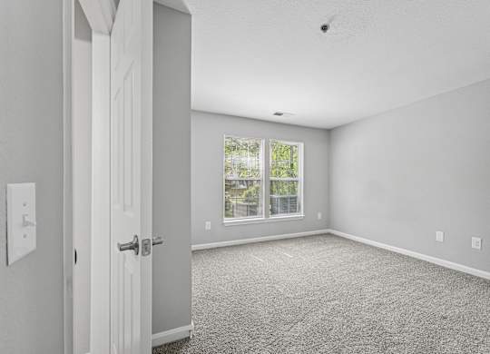 A room with a carpeted floor and a window showing trees outside.